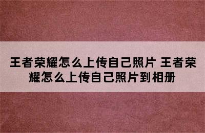 王者荣耀怎么上传自己照片 王者荣耀怎么上传自己照片到相册